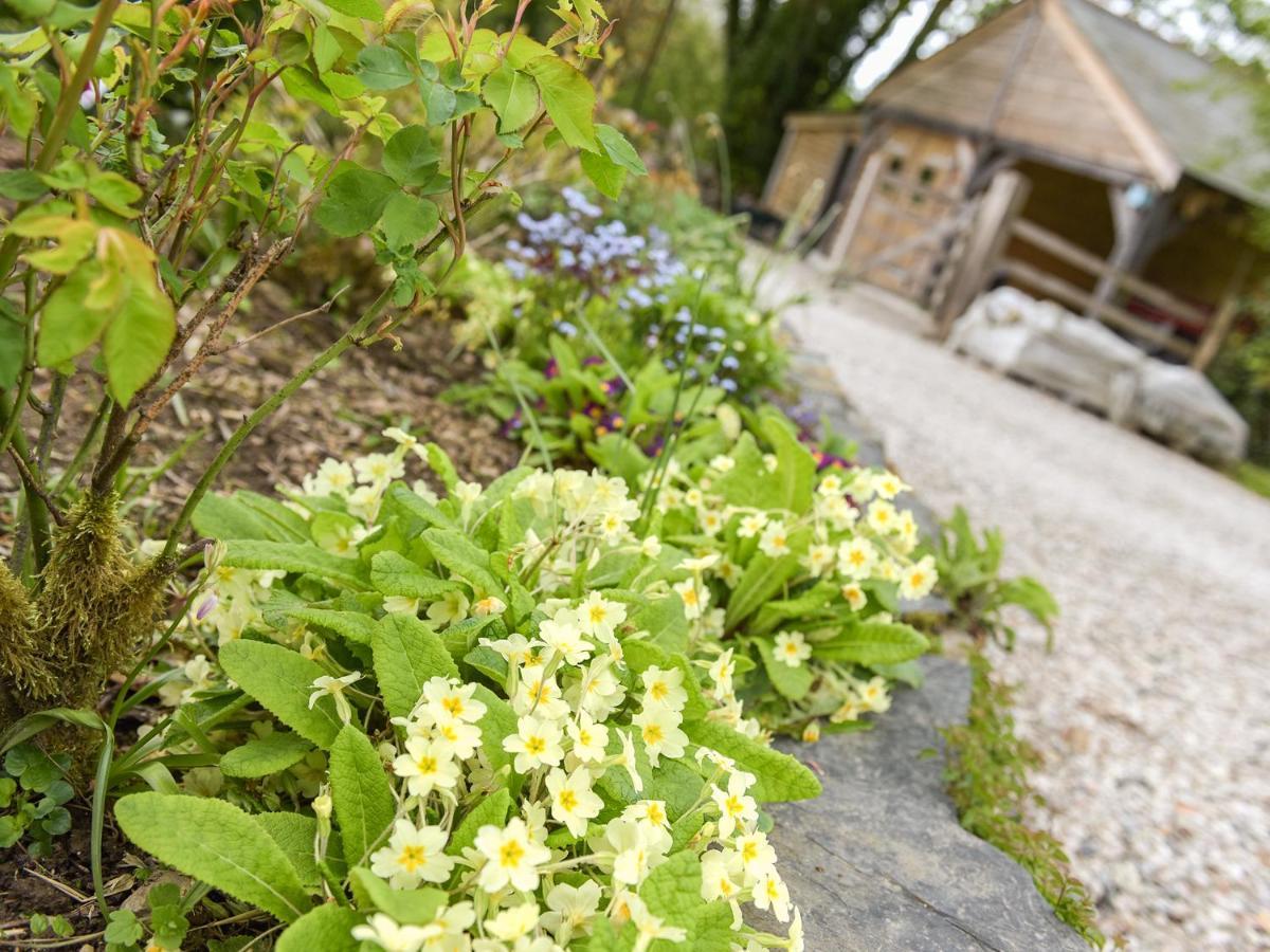 Mimi'S Cottage Liskeard Dış mekan fotoğraf
